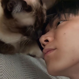 сборная солянка церковной шлюхи🐈