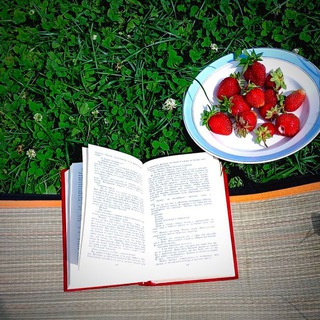 Пристанище книжной души🥰