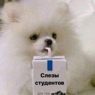 Нэверлэнд с бадуком и кисэн