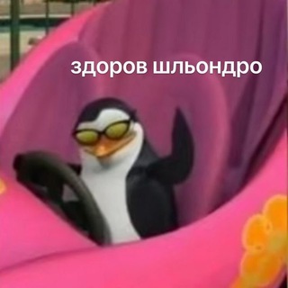 дурка кори