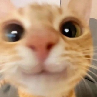 КТЯ