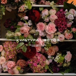 Культура цветов