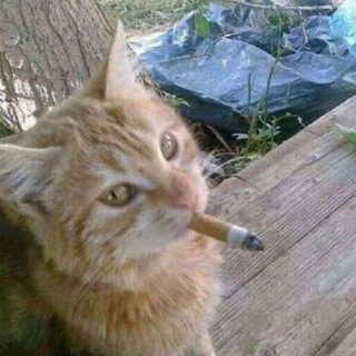 Курилка🚬