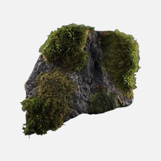 kusochekmoss