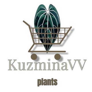 KuzminaVV plants🌱sale