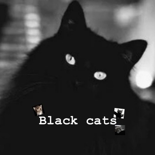 Рест|𝘽𝙡𝙖𝙘𝙠 𝙘𝙖𝙩𝙨🐈‍⬛
