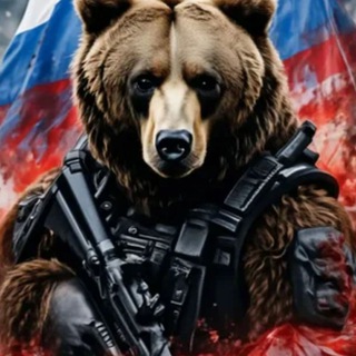Медведи🐻🇷🇺