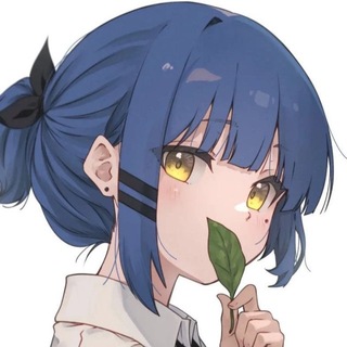 🌥️Lenpaca⛅️