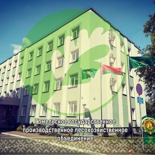 Лесоводы Гомельщины🌳🌲🌳
