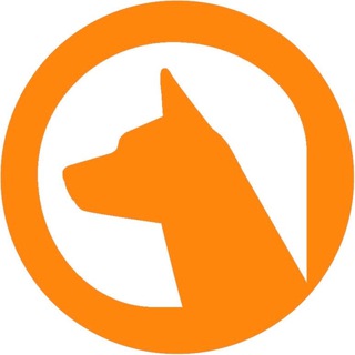 LIKE A FOX • Одежда для собак