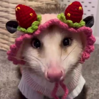 Лилибобка💗🍓