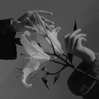 lost in the dream