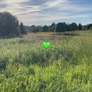 Агроусадьба Лисья Дача🦊