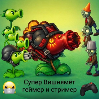 Супер Вишнямёт геймер и стример