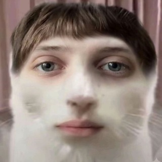 Гейская бардель