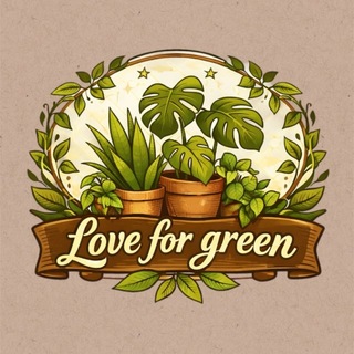 LoveforGreen • Комнатные растения
