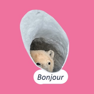 Бонжур, это Николь Рой
