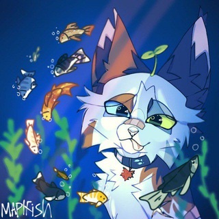 🍁maplfish🐟