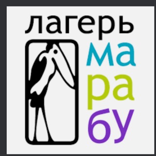 Умный лагерь Марабу