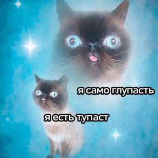 Masa craft /пиво/ поныть