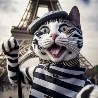 Матроскины видосы😹юмор