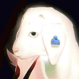 mawq