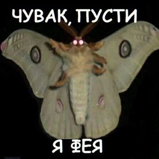 мотыльки | меняльник | Москва