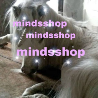 🪷mind shop🪷