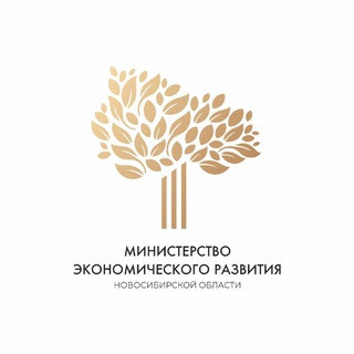Поддержка экономики НСО