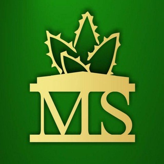 🌵Министерство_суккулентов🌵