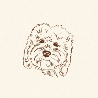 Mio Mia pet-shop