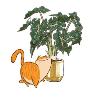 Mir_plants