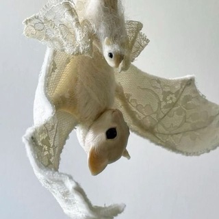 white bat