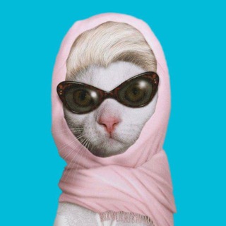 Миучча Рада