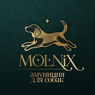 MOLNIX❌// амуниция для собак❌❌❌