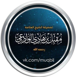 шейх Мукъбиль©