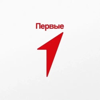 Движение Первых | Амурский район