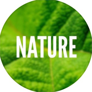 Nature🌏