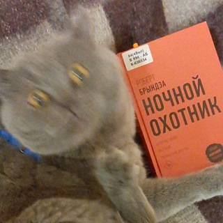 Ночкин кринж🐡(в отпуске)