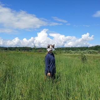`↟,—'Вместе с Невадой🌾