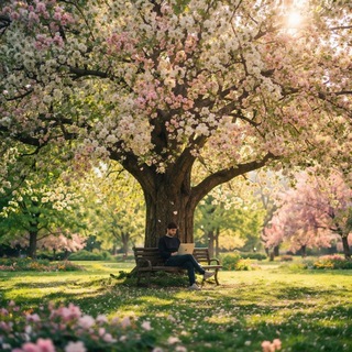 Наблюдения под чинарой🌳
