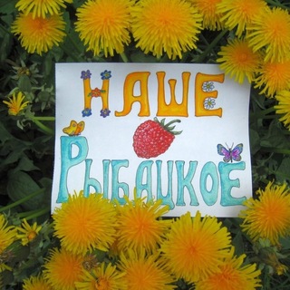 Рыбацкое - Невский район