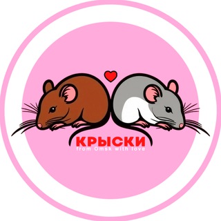 Крыски🐀
