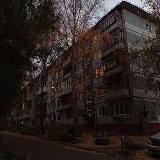 Шалфейные заросли