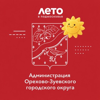 Официально Орехово-Зуевский округ