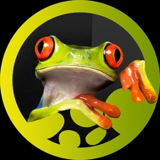 Panteric🐸Экзотические Животные