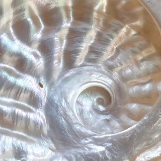 Πⲉⲣⲗⲁⲙⲩⲧⲣ | Эⲗⲗυⲏυⳅⲙ
