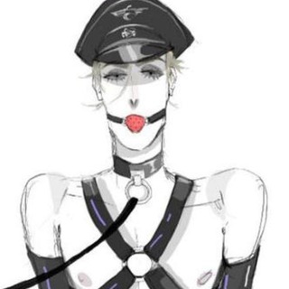 ПЕРЕХОДНИК NAZI GAYPORN[РЕСТ]