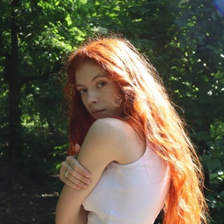 Белая гвоздика