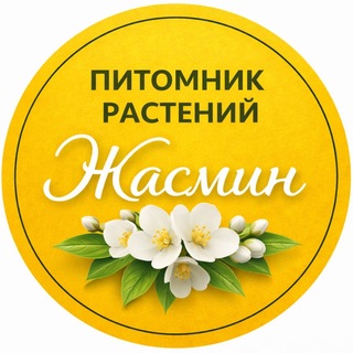 Питомник растений Жасмин